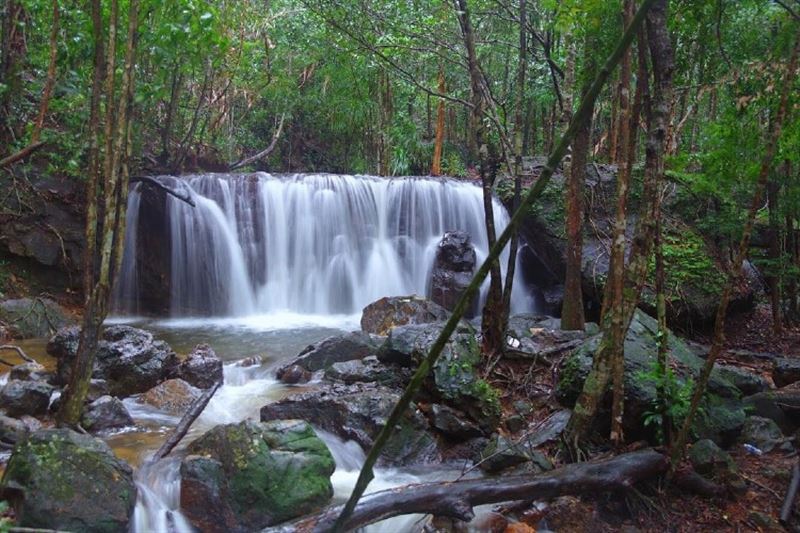 Phu Quoc National Park Adventure Tour: Discovering the Wild Side of Nature